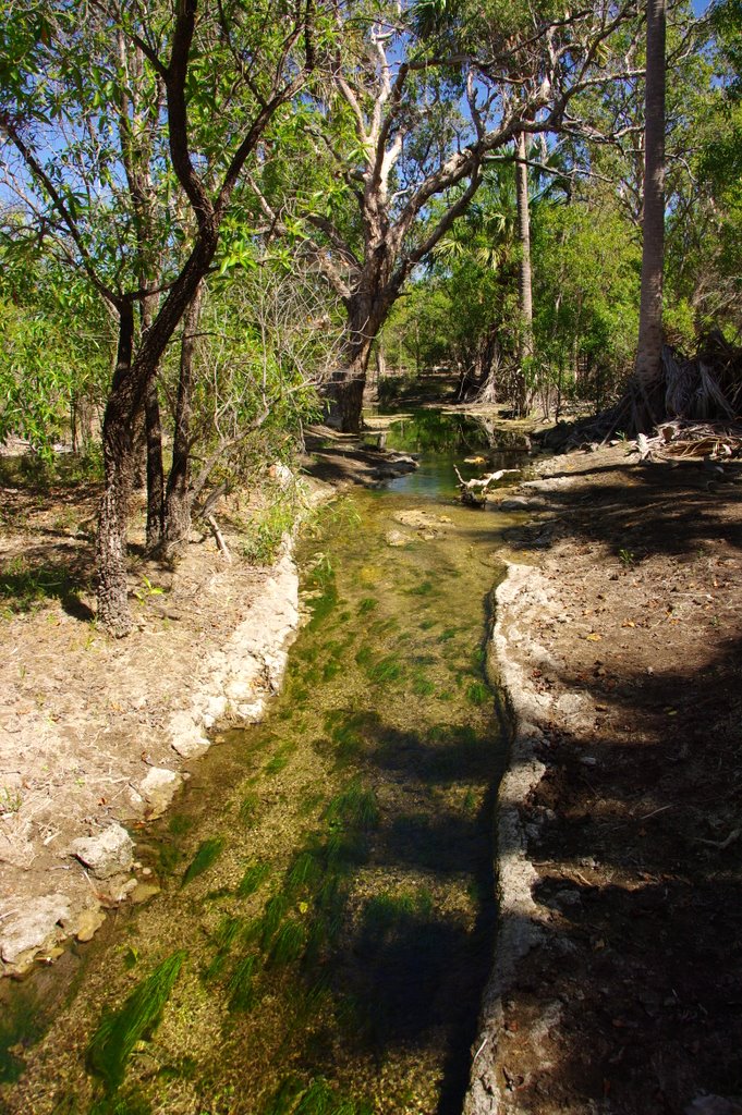 Limestone lined Creek