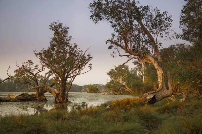 Sandy Billabong - © John Lovett 2015