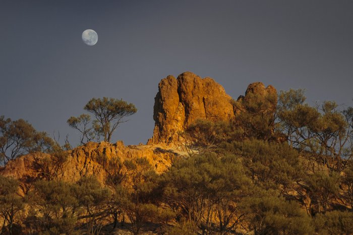 © John Lovett 2015 xrNT__3202