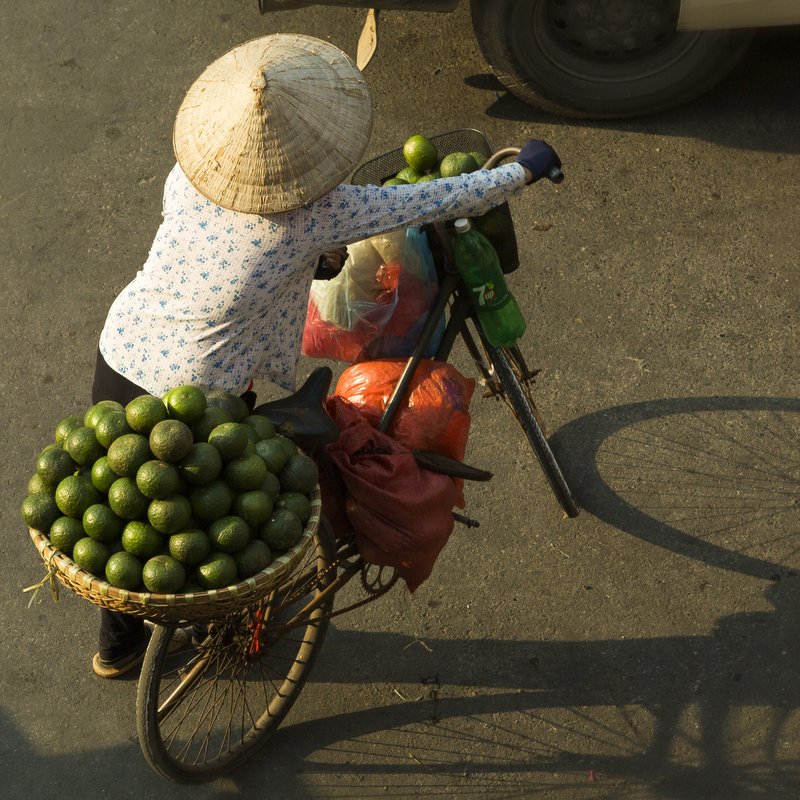 © John Lovett 2015 © John Lovett 2015