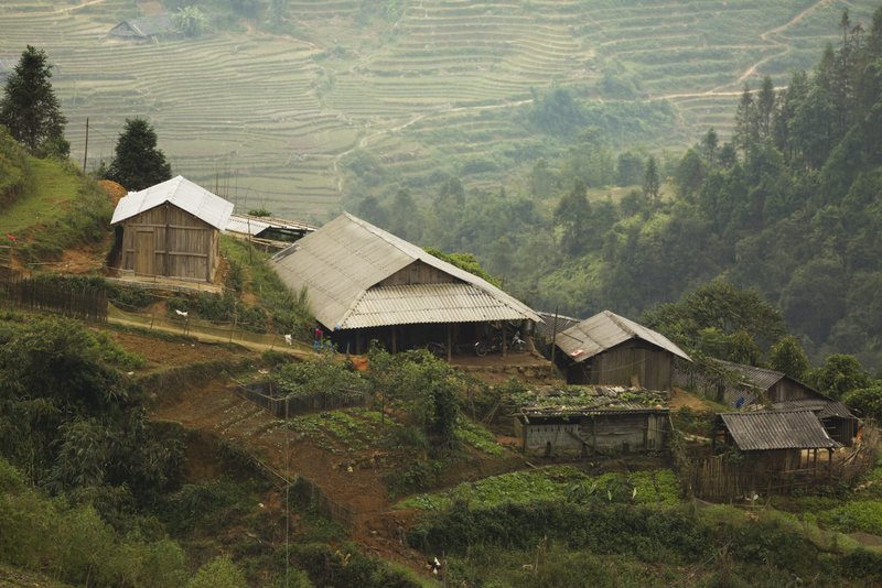 © John Lovett 2015 © John Lovett 2015