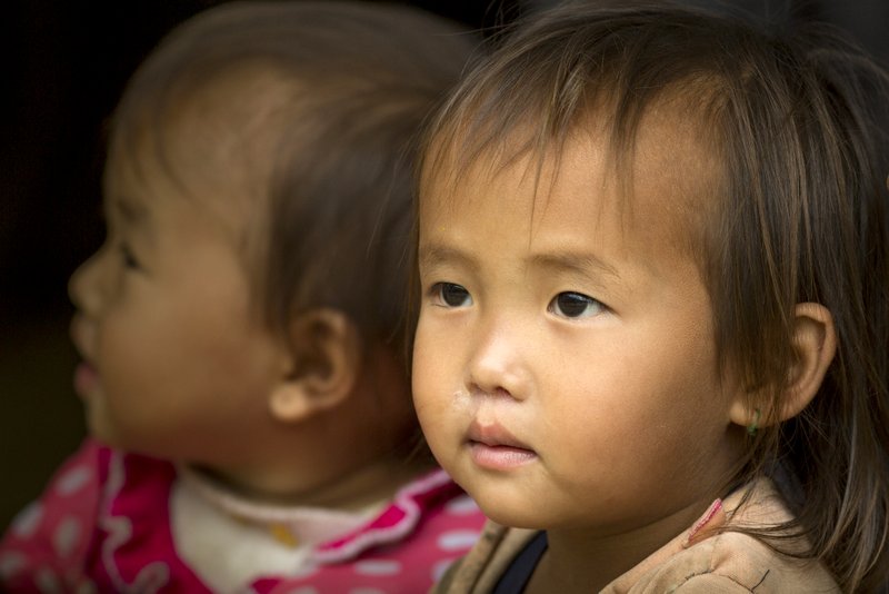 © John Lovett 2015 © John Lovett 2015