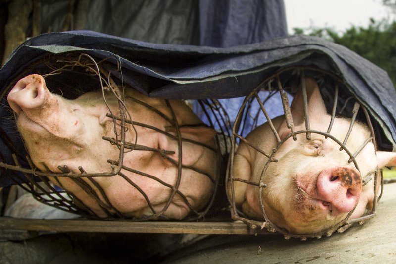 © John Lovett 2015 © John Lovett 2015