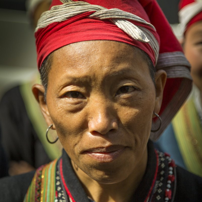 © John Lovett 2015 © John Lovett 2015