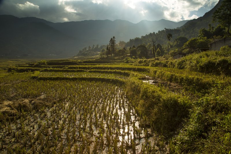 © John Lovett 2015 © John Lovett 2015