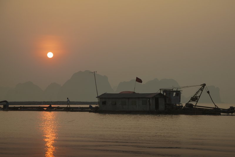 Image © John Lovett