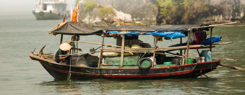 Image © John Lovett