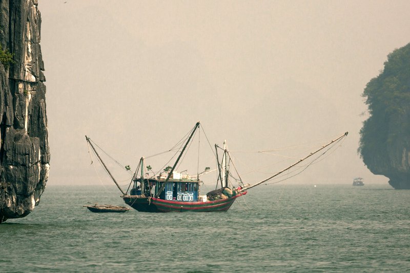 Image © John Lovett