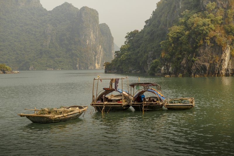 Image © John Lovett