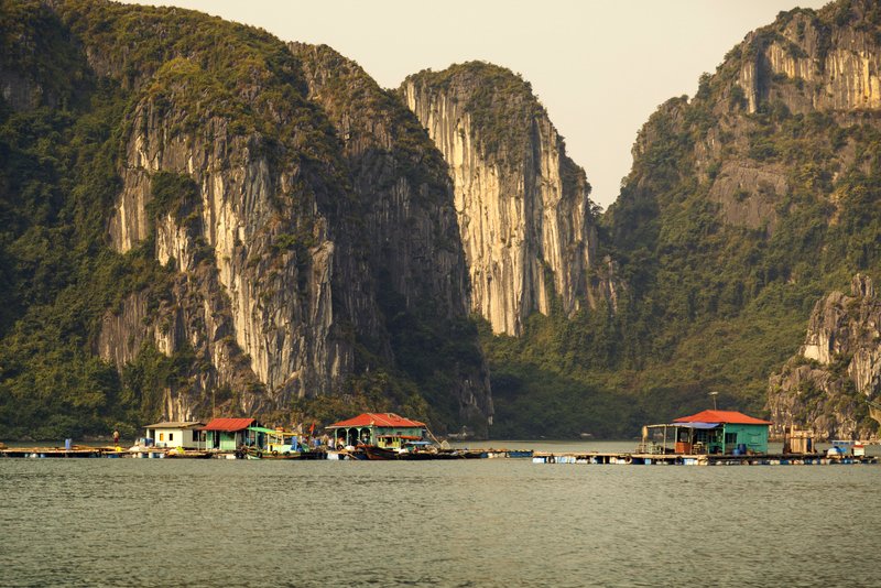 Image © John Lovett