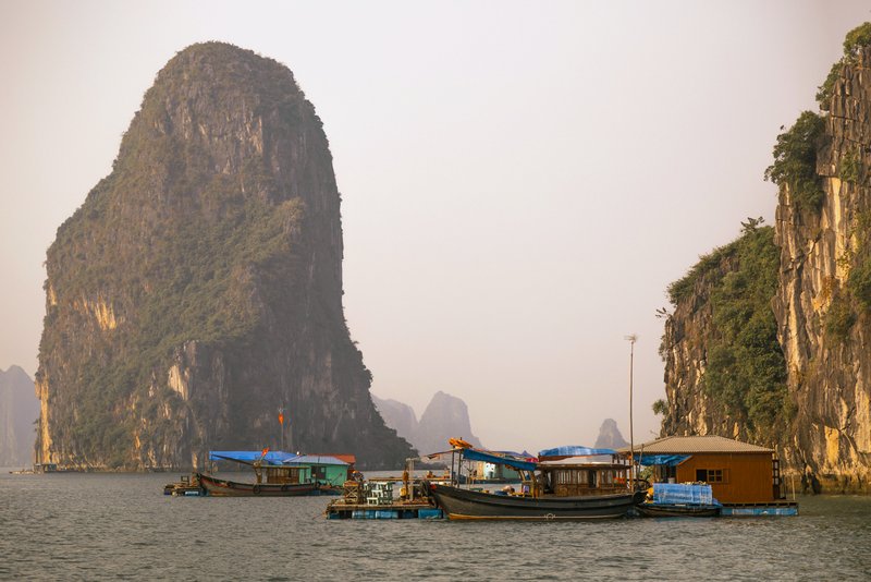 Image © John Lovett