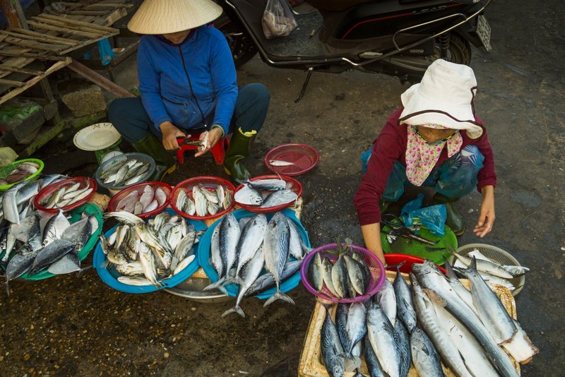 Image © John Lovett 2015