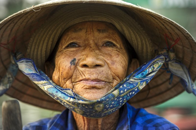 Image © John Lovett 2015