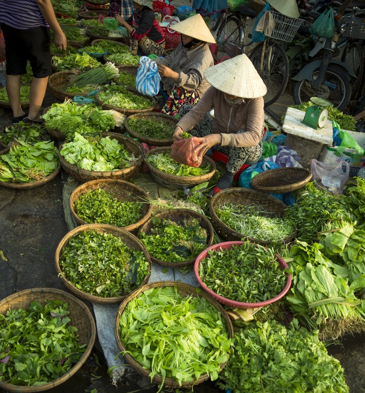 Image © John Lovett 2015