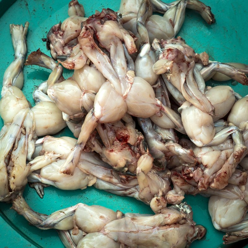 Image © John Lovett 2015