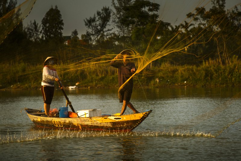 Image © John Lovett 2015