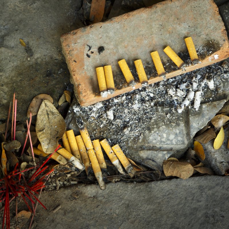 Image © John Lovett 2015