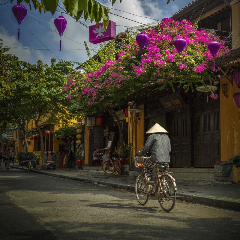 Image © John Lovett 2015