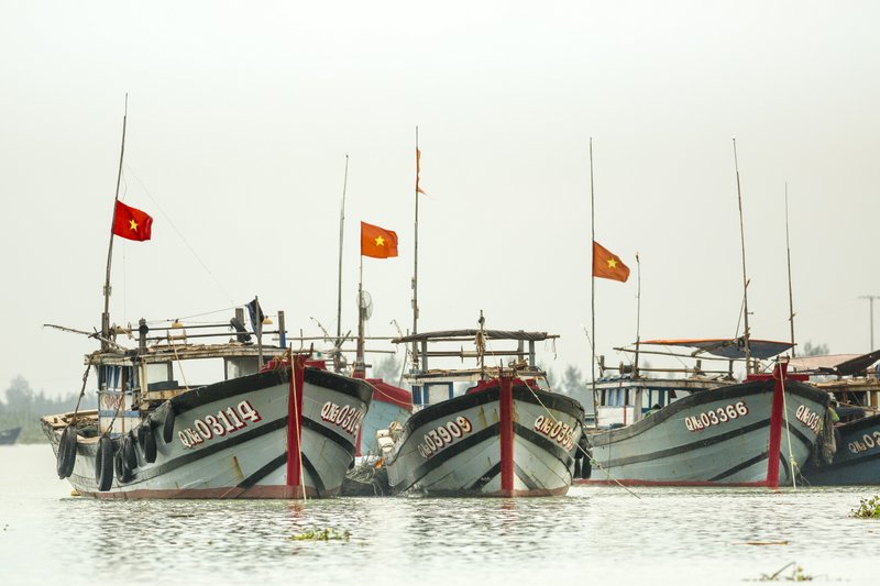 Image © John Lovett 2015