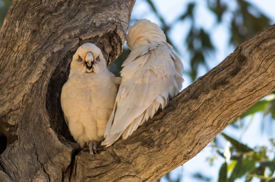 © John Lovett 2016 101