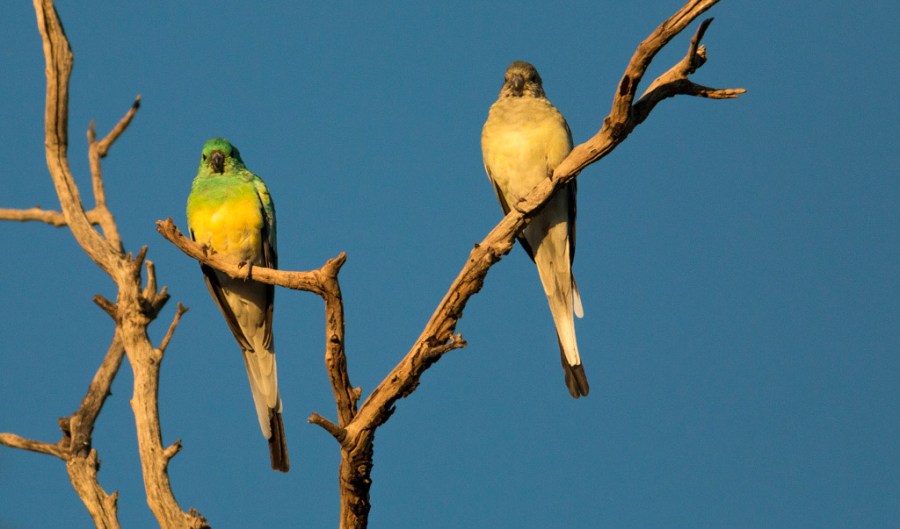 © John Lovett 2016 102