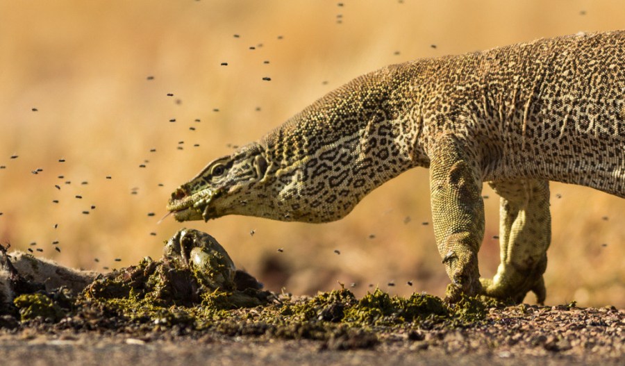 © John Lovett 2016 © John Lovett 2016