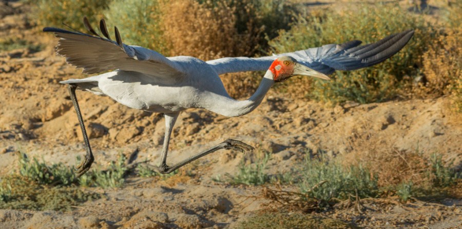 © John Lovett 2016 © John Lovett 2016