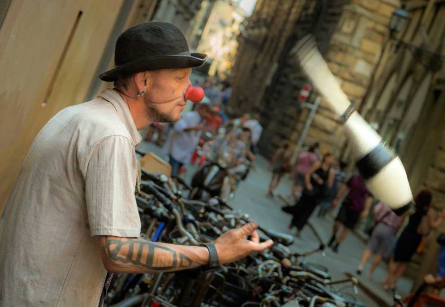 © John Lovett 2016 317