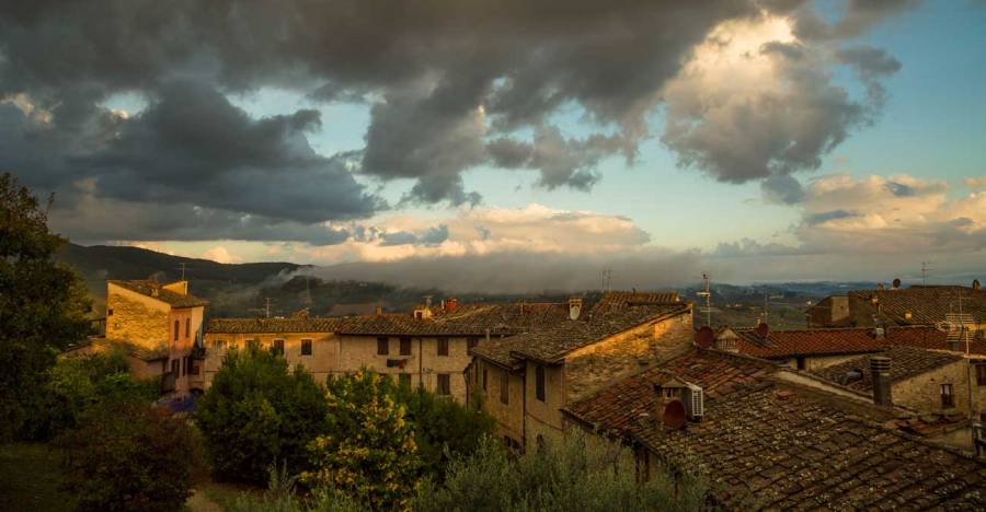 © John Lovett 2016 320