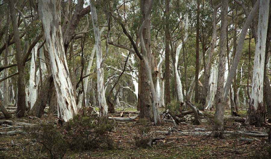 © John Lovett 2016 snow8689