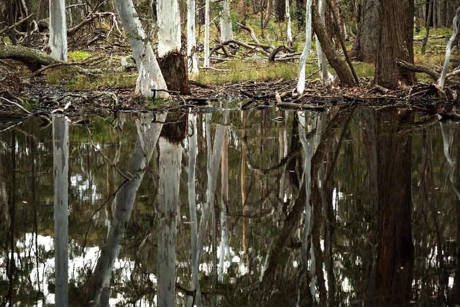 © John Lovett 2016 snow8702