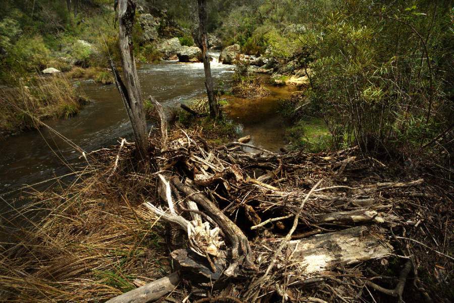 © John Lovett 2016 snow8876